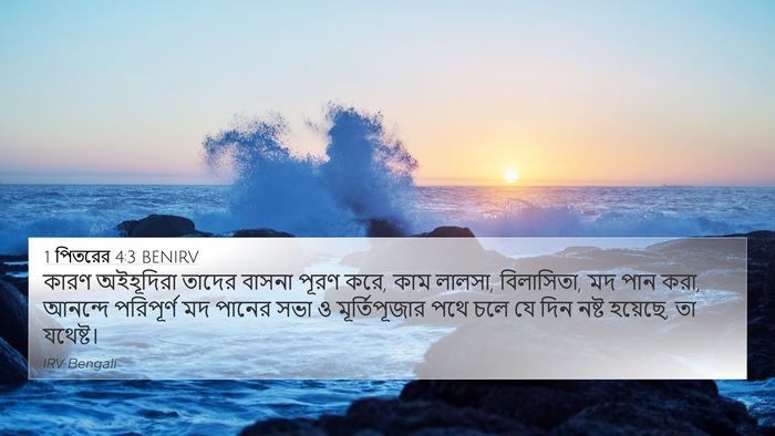 1 পিতরের 4:3 BENIRV Bible Verse Image