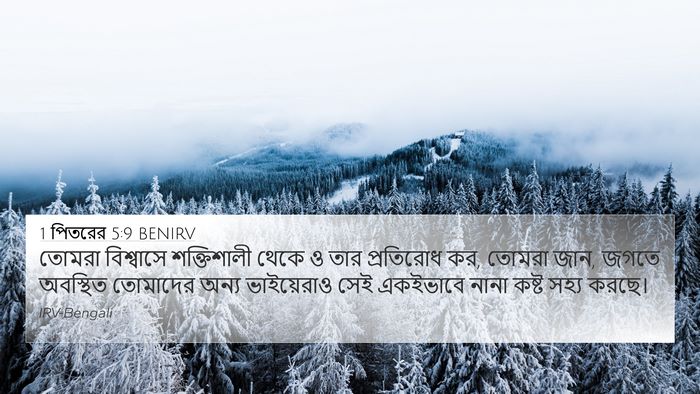 1 পিতরের 5:9 BENIRV Bible Verse Image