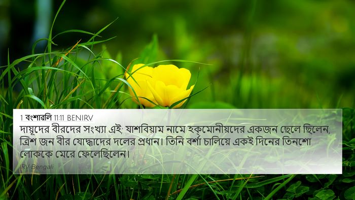 1 বংশাৱলি 11:11 BENIRV Bible Verse Image