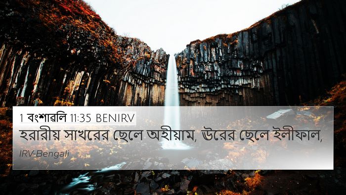 1 বংশাৱলি 11:35 BENIRV Bible Verse Image