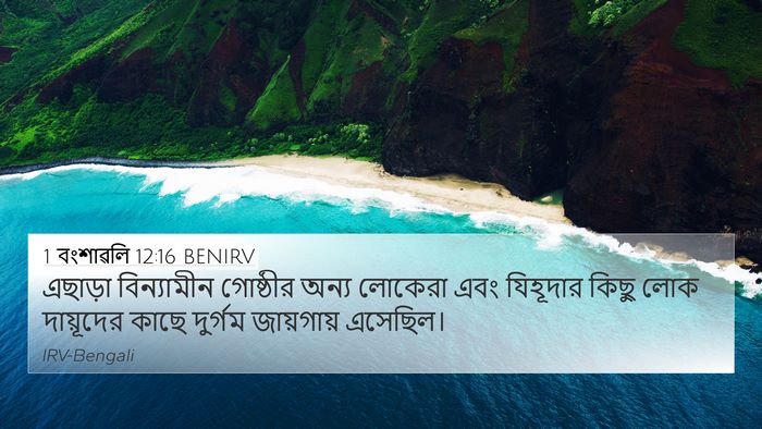 1 বংশাৱলি 12:16 BENIRV Bible Verse Image