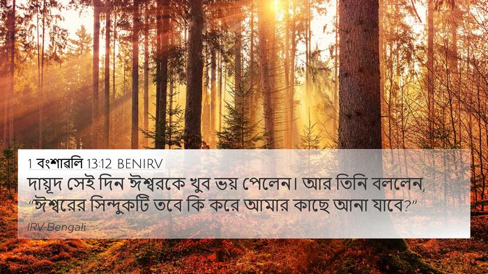 1 বংশাৱলি 13:12 BENIRV 4K Wallpaper - দায়ূদ সেই দিন - 4K Wallpaper Bible Verse