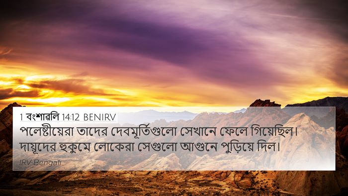 1 বংশাৱলি 14:12 BENIRV Bible Verse Image