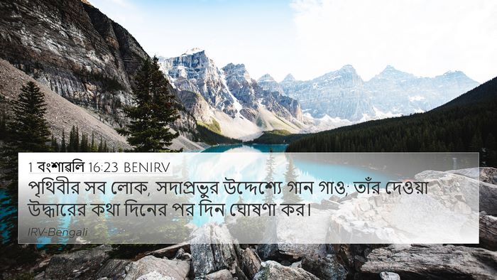 1 বংশাৱলি 16:23 BENIRV Bible Verse Image