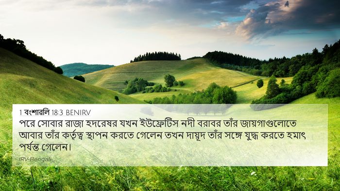 1 বংশাৱলি 18:3 BENIRV Bible Verse Image