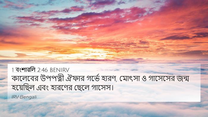 1 বংশাৱলি 2:46 BENIRV Bible Verse Image