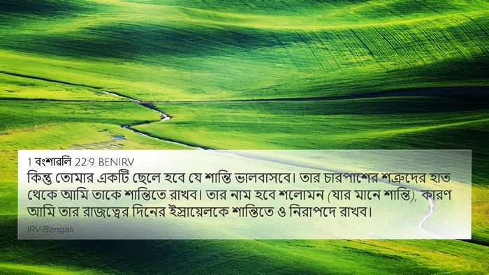 1 বংশাৱলি 22:9 BENIRV Bible Verse Image