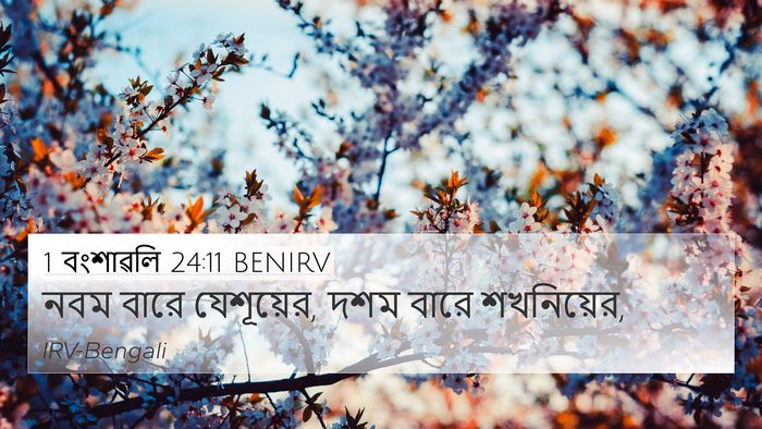 1 বংশাৱলি 24:11 BENIRV 4K Wallpaper - নবম বারে যেশূয়ের, - 4K Wallpaper Bible Verse