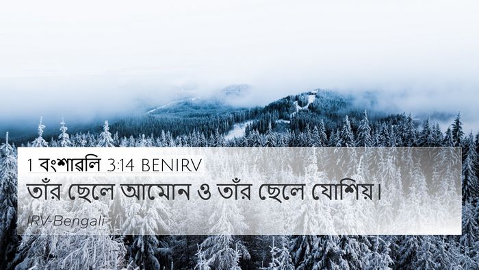 1 বংশাৱলি 3:14 BENIRV 4K Wallpaper - তাঁর ছেলে আমোন ও - 4K Wallpaper Bible Verse
