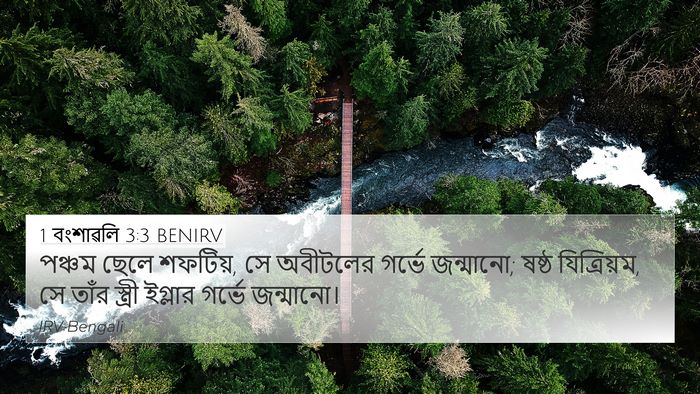 1 বংশাৱলি 3:3 BENIRV 4K Wallpaper - পঞ্চম ছেলে শফটিয়, - 4K Wallpaper Bible Verse