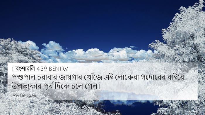 1 বংশাৱলি 4:39 BENIRV Bible Verse Image