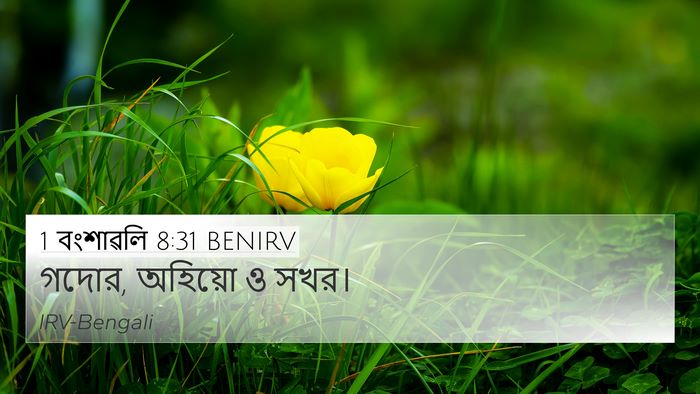 1 বংশাৱলি 8:31 BENIRV 4K Wallpaper - গদোর, অহিয়ো ও - 4K Wallpaper Bible Verse