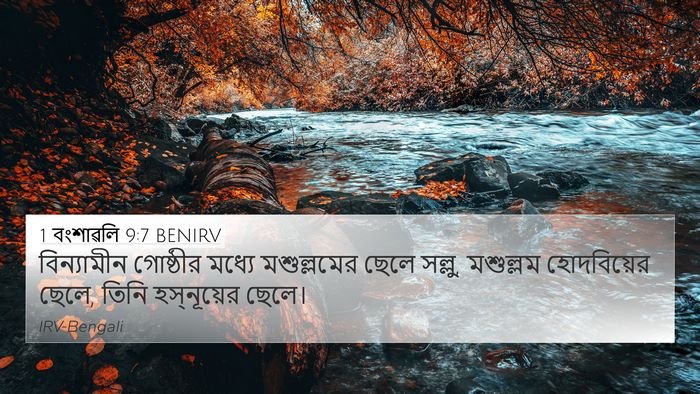 1 বংশাৱলি 9:7 BENIRV Bible Verse Image