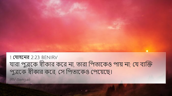 1 যোহনের 2:23 BENIRV Bible Verse Image