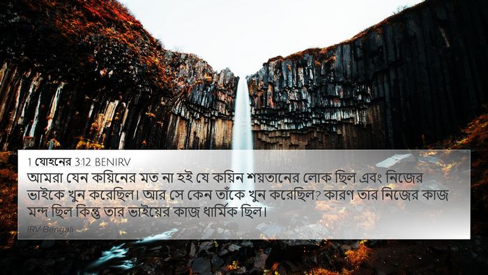 1 যোহনের 3:12 BENIRV Bible Verse Image