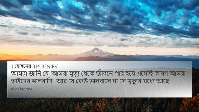 1 যোহনের 3:14 BENIRV Bible Verse Image