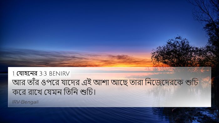 1 যোহনের 3:3 BENIRV Bible Verse Image