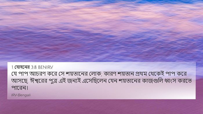 1 যোহনের 3:8 BENIRV Bible Verse Image