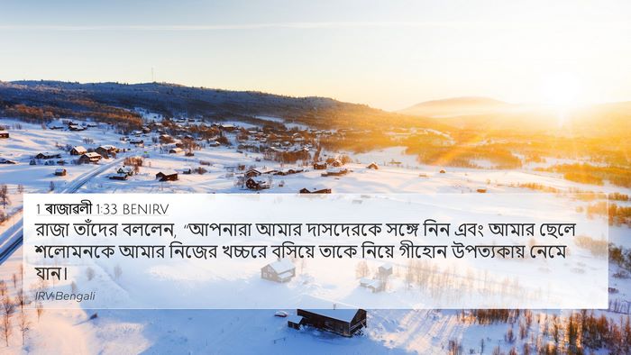 1 ৰাজাৱলী 1:33 BENIRV Bible Verse Image