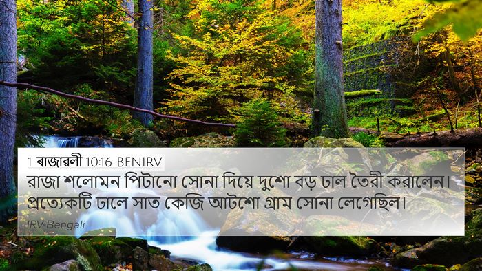 1 ৰাজাৱলী 10:16 BENIRV Bible Verse Image