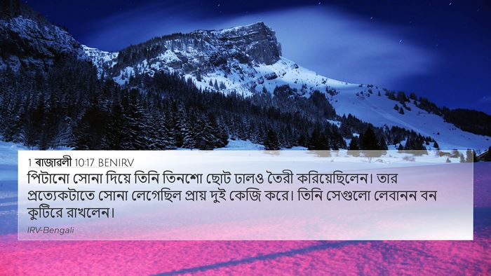 1 ৰাজাৱলী 10:17 BENIRV Bible Verse Image