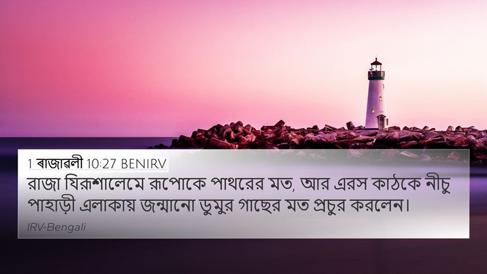1 ৰাজাৱলী 10:27 BENIRV Bible Verse Image