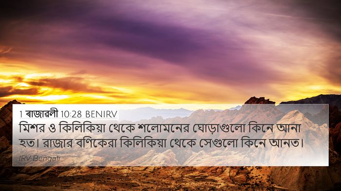 1 ৰাজাৱলী 10:28 BENIRV Bible Verse Image