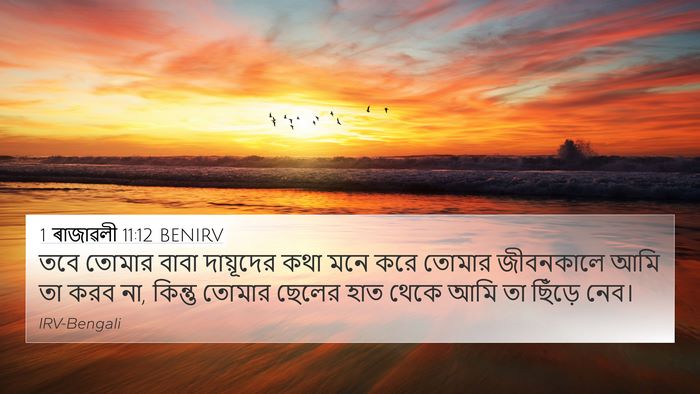 1 ৰাজাৱলী 11:12 BENIRV 4K Wallpaper - তবে তোমার বাবা - 4K Wallpaper Bible Verse