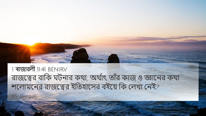 1 ৰাজাৱলী 11:41 BENIRV Bible Verse Image