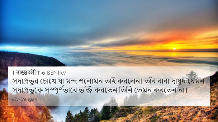 1 ৰাজাৱলী 11:6 BENIRV Bible Verse Image