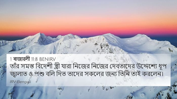 1 ৰাজাৱলী 11:8 BENIRV 4K Wallpaper - তাঁর সমস্ত বিদেশী - 4K Wallpaper Bible Verse