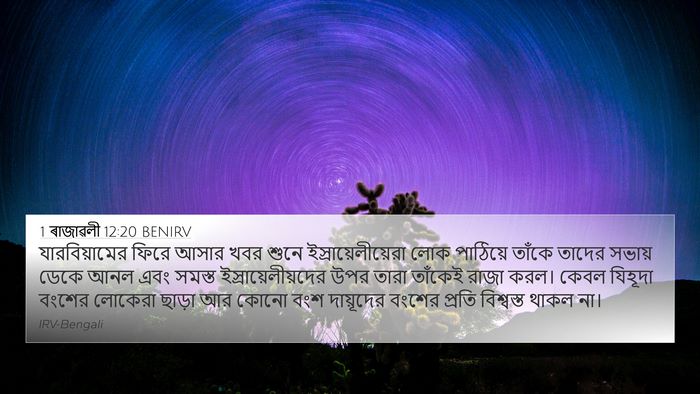 1 ৰাজাৱলী 12:20 BENIRV Bible Verse Image