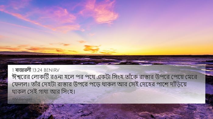 1 ৰাজাৱলী 13:24 BENIRV Bible Verse Image