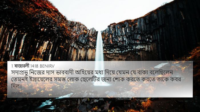 1 ৰাজাৱলী 14:18 BENIRV Bible Verse Image