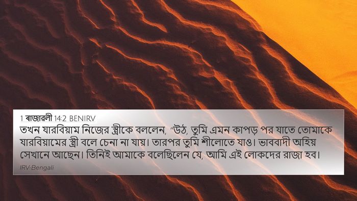1 ৰাজাৱলী 14:2 BENIRV Bible Verse Image