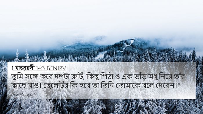 1 ৰাজাৱলী 14:3 BENIRV Bible Verse Image