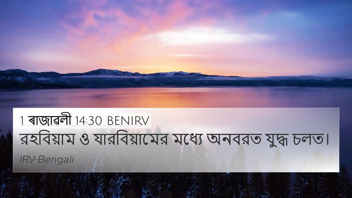 1 ৰাজাৱলী 14:30 BENIRV Bible Verse Image