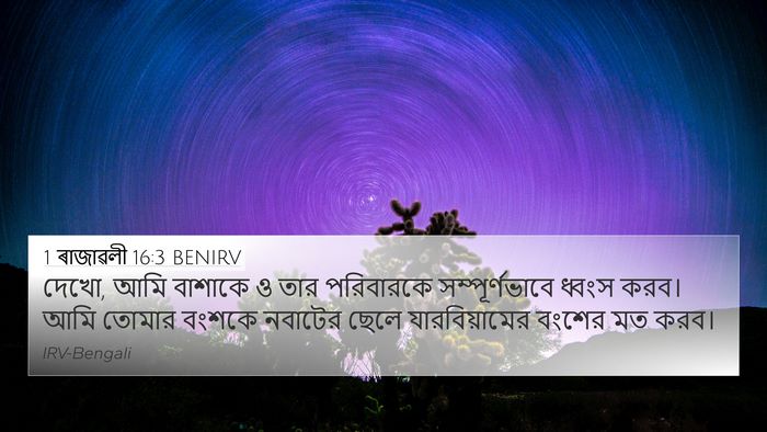 1 ৰাজাৱলী 16:3 BENIRV 4K Wallpaper - দেখো, আমি বাশাকে ও - 4K Wallpaper Bible Verse