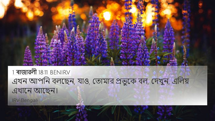 1 ৰাজাৱলী 18:11 BENIRV 4K Wallpaper - এখন আপনি বলছেন, - 4K Wallpaper Bible Verse