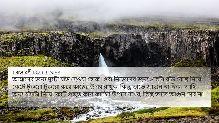 1 ৰাজাৱলী 18:23 BENIRV Bible Verse Image