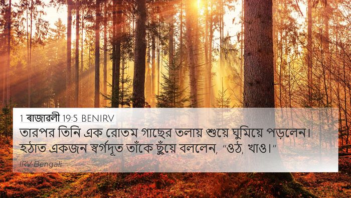 1 ৰাজাৱলী 19:5 BENIRV Bible Verse Image