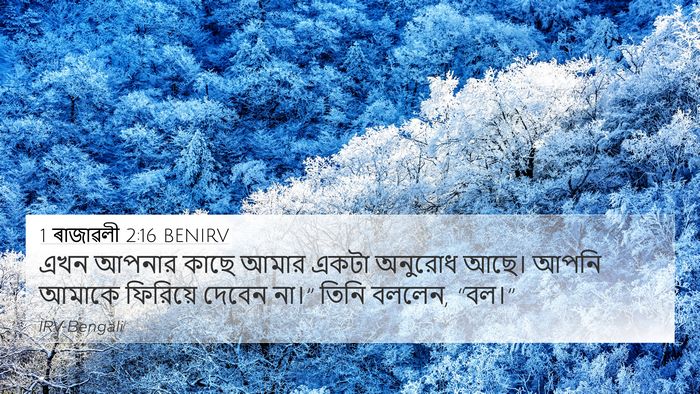 1 ৰাজাৱলী 2:16 BENIRV Bible Verse Image