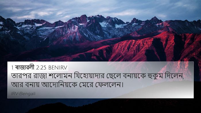 1 ৰাজাৱলী 2:25 BENIRV Bible Verse Image