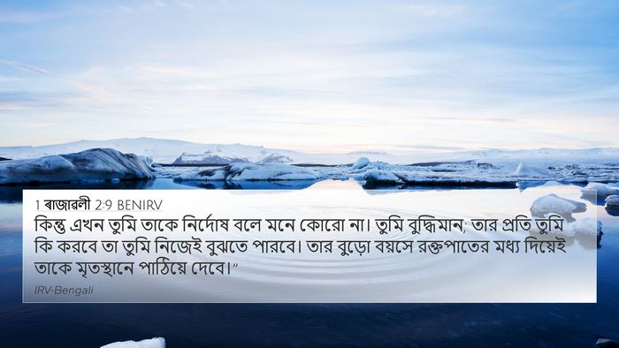 1 ৰাজাৱলী 2:9 BENIRV Bible Verse Image