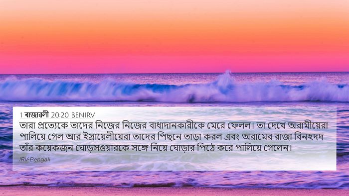 1 ৰাজাৱলী 20:20 BENIRV Bible Verse Image