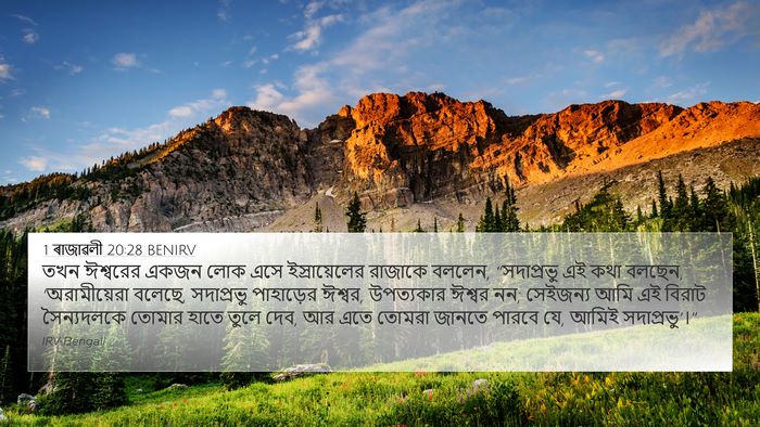 1 ৰাজাৱলী 20:28 BENIRV Bible Verse Image