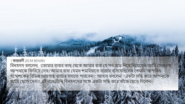 1 ৰাজাৱলী 20:34 BENIRV Bible Verse Image