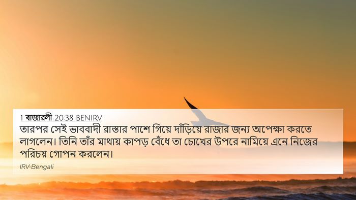 1 ৰাজাৱলী 20:38 BENIRV Bible Verse Image