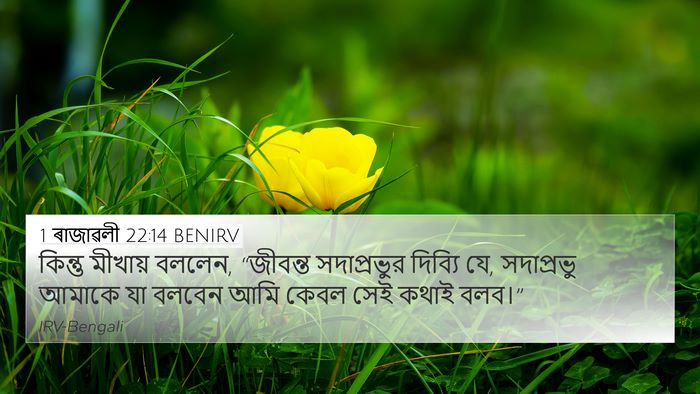 1 ৰাজাৱলী 22:14 BENIRV Bible Verse Image