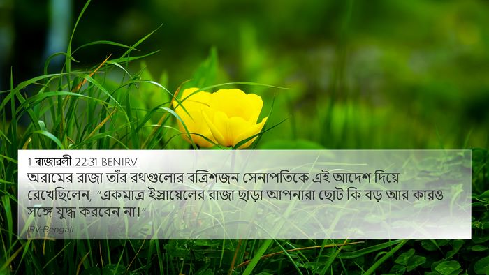1 ৰাজাৱলী 22:31 BENIRV Bible Verse Image